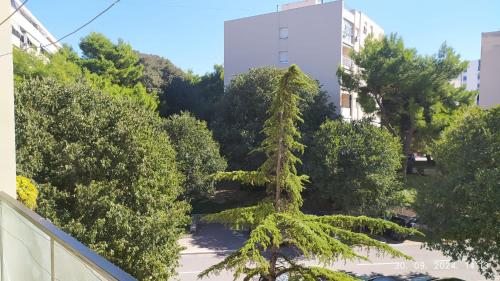 None Apartment