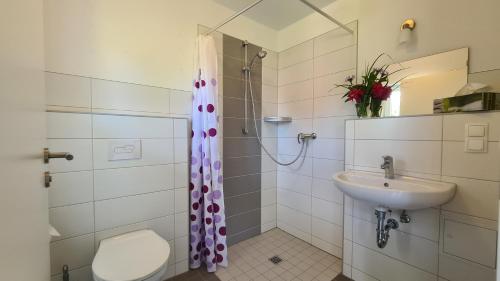 ein Badezimmer mit Dusche, Waschbecken und Toilette in der Unterkunft 06 Grashüpfer - Hof Wiesengrund in Parchtitz