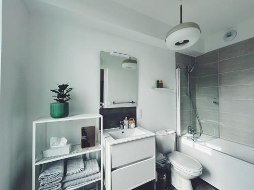 a white bathroom with a toilet and a sink at Suite Jaurès in Rethel