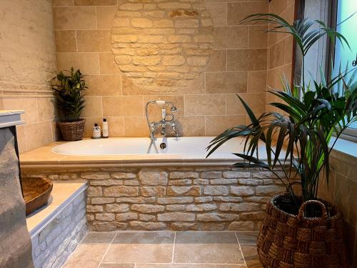 a bathroom with a bath tub with a plant at Dovecote Cotswold Cottages in Chipping Norton
