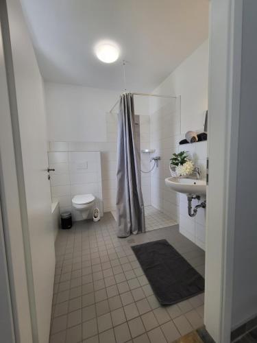 a bathroom with a shower and a toilet and a sink at 03 Blumenwiese - Hof Wiesengrund in Parchtitz