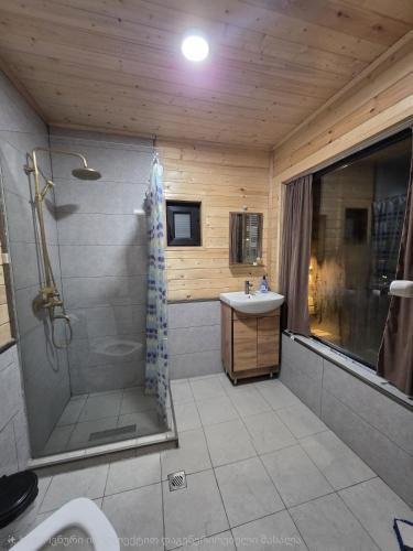 a bathroom with a shower and a sink at Chalet Gudauri in Gudauri