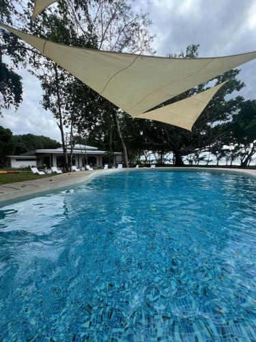 a large swimming pool with an umbrella over it at Magalong Beach Resort in Busuanga