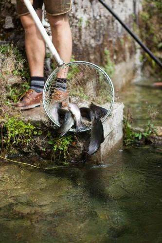 a person holding a net with some fish in the water at Hupfmühle Pension in St. Wolfgang