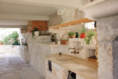 科尔丘拉格吉奇公寓酒店的石制厨房,墙上挂着水槽和盆栽植物