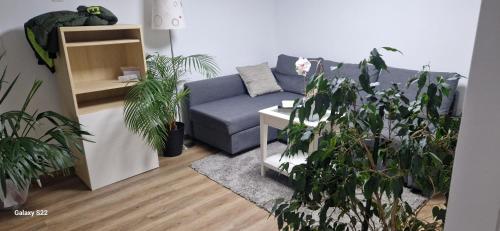 Charmantes und neu renoviertes Apartment in der Nähe des Flughafens