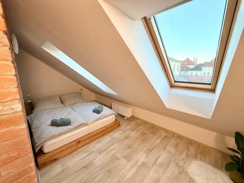 Duplex Apartment in City center - amazing views!