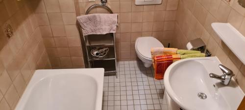 a white bathroom with a toilet and a sink at Ferienwohnung Diechtler inkl. Chiemgaukarte in Ruhpolding