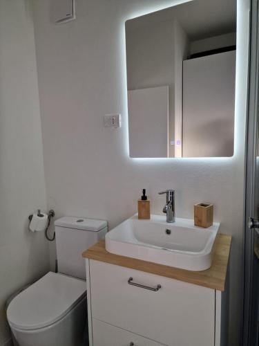 a bathroom with a toilet and a sink and a mirror at Meziad-Panorama in Meziad