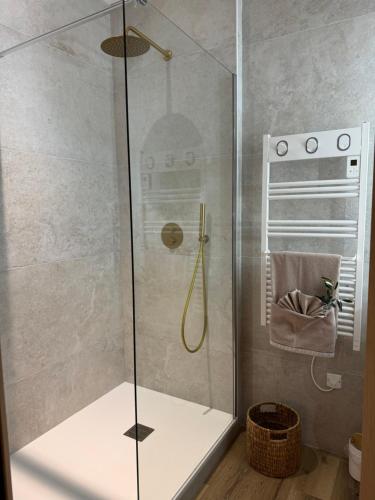 a shower with a glass door in a bathroom at le moulin de l oliveraie in Blausasc