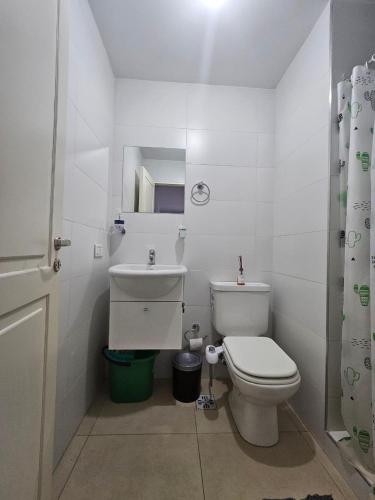 a white bathroom with a toilet and a sink at Amplio Departamento Monoambiente in San Luis