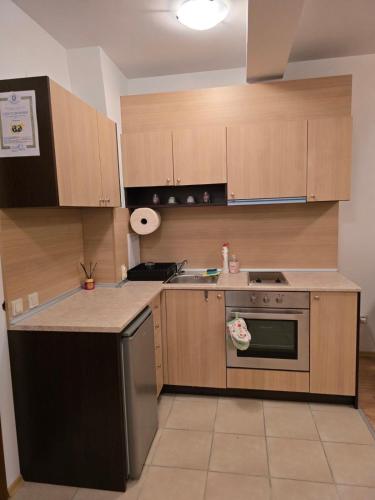 a kitchen with wooden cabinets and a stove top oven at AspenValley Aprtment in Razlog