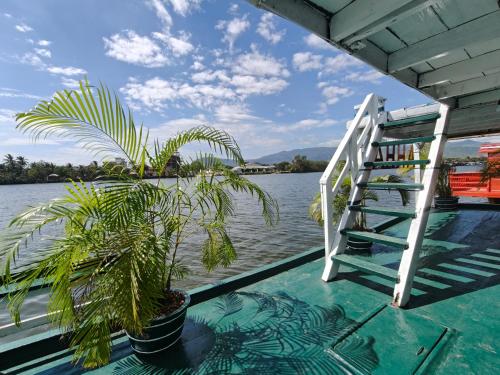 a palm tree sitting on the side of a boat at AHHA Floatel Kampot in Kampot