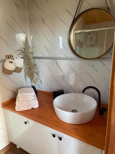 a bathroom with a sink and a mirror on a counter at Seebrise Adria in Altrip