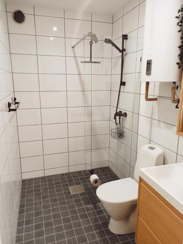 a bathroom with a toilet and a shower at Relax Inn Otepää Apartment in Otepää