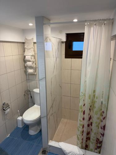 a bathroom with a toilet and a shower with a shower curtain at Lithos Home in Panagia