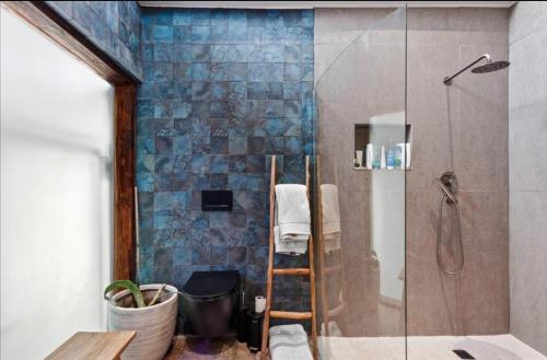 a bathroom with a glass shower with a ladder at Beach House Living in Gordonʼs Bay