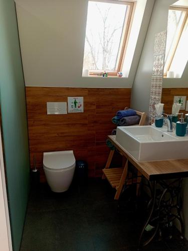 a bathroom with a toilet and a sink at М'юзіка Карпат in Yavoriv