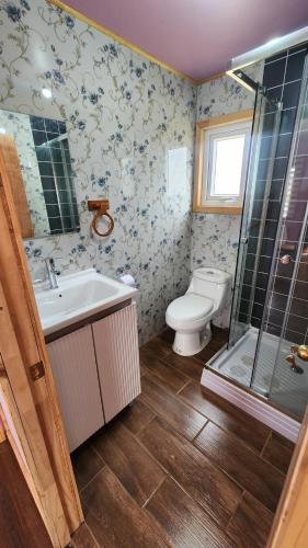 a bathroom with a toilet and a sink and a shower at Canto del Bosque in Castro