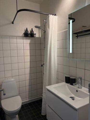Kamar mandi di Bakkehegnet 2