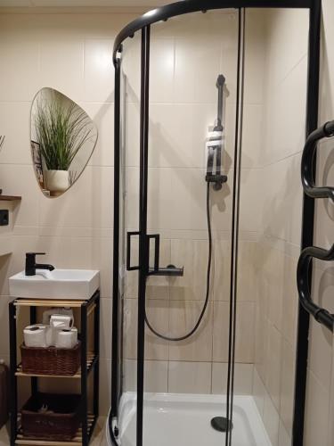 a bathroom with a shower and a sink at BOHO Ogre in Ogre