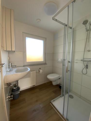 a bathroom with a toilet and a sink and a shower at Burgweg Living in Bad Wildungen