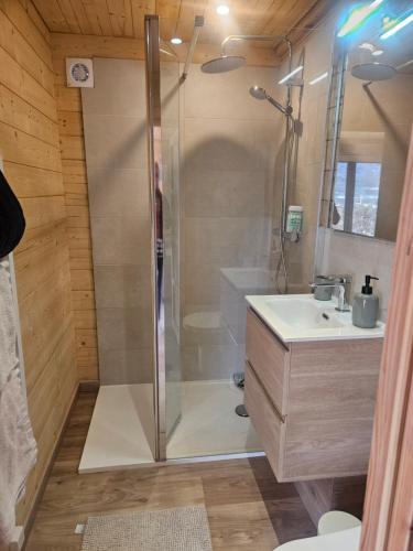 a bathroom with a shower and a sink at Le Petit Chalet in Saint-Jorioz