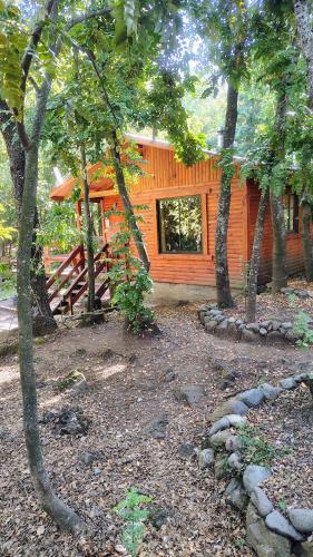a cabin in the middle of a forest with trees at Cabañas Tía Marce, Los Lleuques in Recinto