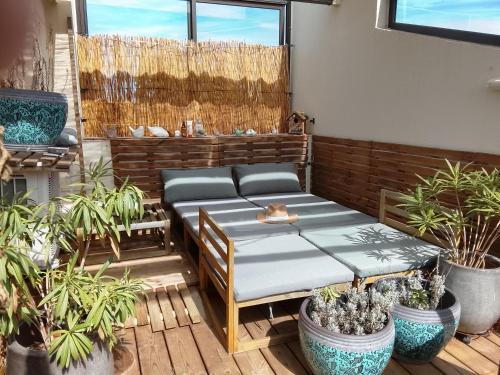 Green Roof Top