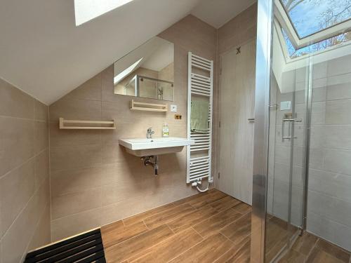 a bathroom with a sink and a shower at Forest House Buxusson in Dolní Slověnice