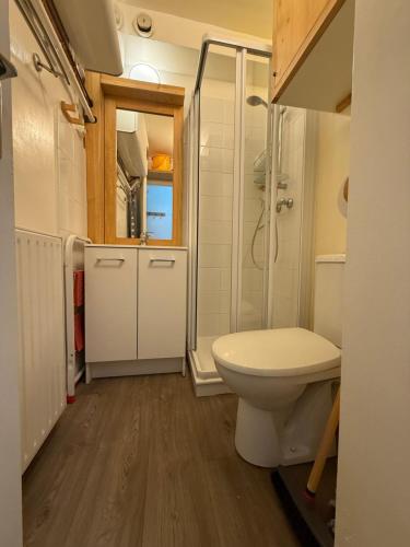 a small bathroom with a toilet and a shower at Location studio à Serre Chevalier 1350 in Saint-Chaffrey