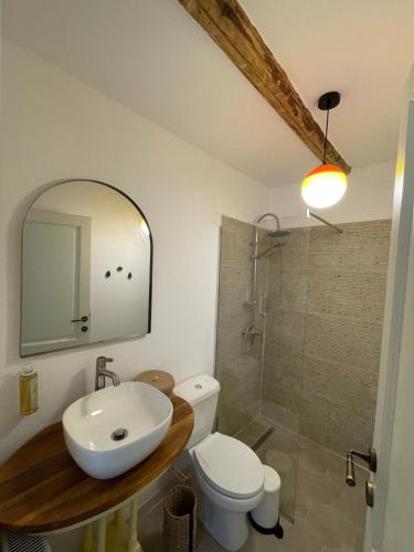 a bathroom with a sink and a toilet and a shower at Doftana 609 in Trăisteni