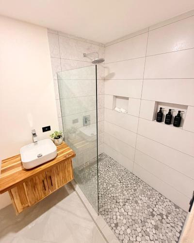 a bathroom with a glass shower and a sink at Brianne's Place in Playa hermosa