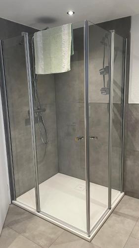 a shower with a glass door in a bathroom at Zum Talblick in Limbach