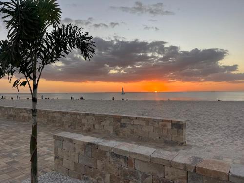 a palm tree on the beach with a sunset at A Beach Retreat on Casey Key in Venice