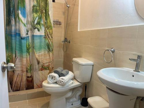 a bathroom with a toilet and a sink and a shower curtain at Apartamento Piro 1 - 4 pax - a 5 Min De La Playa in Las Galeras