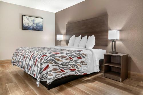 a hotel room with a bed and two lamps at Red Roof Inn Queensbury in Queensbury