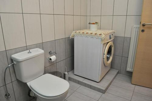 a bathroom with a toilet and a washing machine at Villa Eli Keratokampos in Kastrí