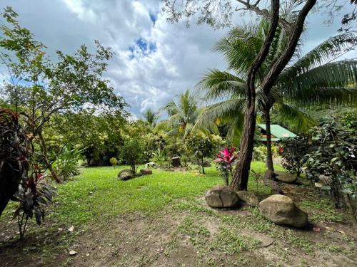 a garden with a palm tree and rocks on the grass at Habitacion Atico in Curubandé