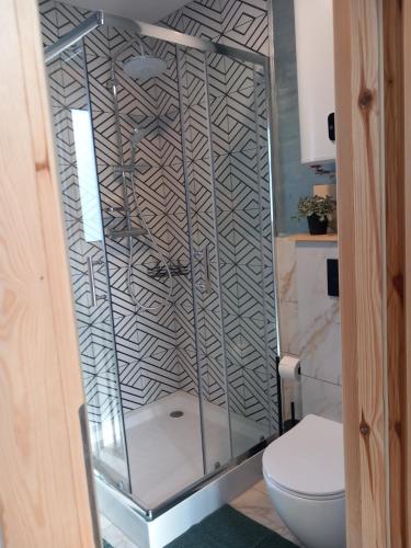 a glass shower in a bathroom with a toilet at LoftLove roztocze domek in Jędrzejówka