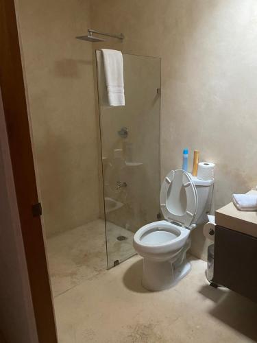 a bathroom with a toilet and a glass shower at Departamento en San Sebastián Mérida in Mérida