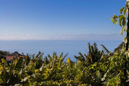 Romantic Seaview Wine House in Madeira