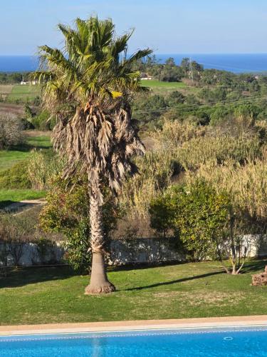 Sunset Apartment by Sesimbra Sun Sea