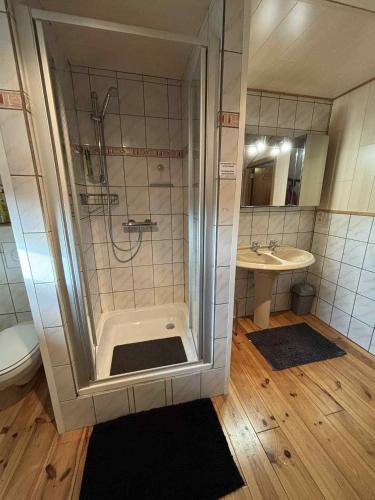a bathroom with a shower and a sink at Gîte de la barrière in Libin