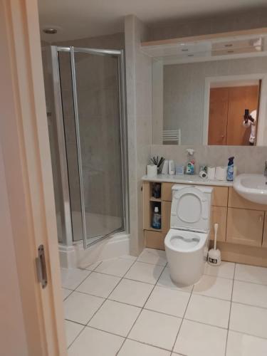 a bathroom with a shower and a toilet and a sink at 2 Bedroom APARTMENT in Manchester