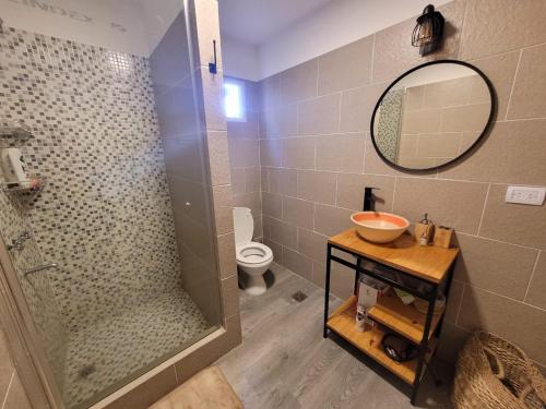 a bathroom with a shower and a sink and a toilet at Quinta con pileta y quincho in Fátima