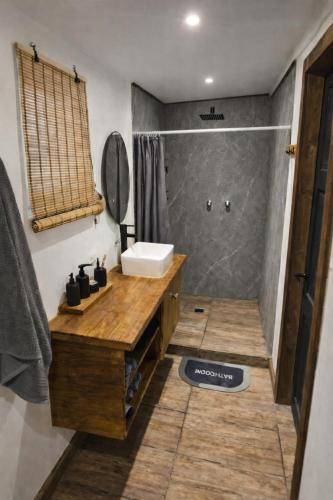 a bathroom with a sink and a shower at Casita Don Marco in Bocas Town