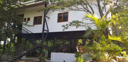 Jardí fora de Casa alejo