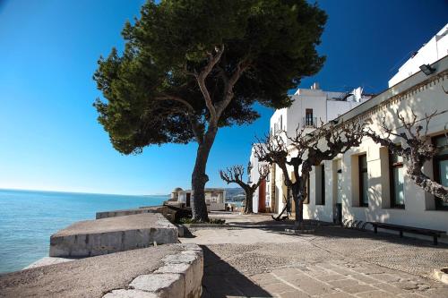 MIRAMAR SIERRA Perla Blanca