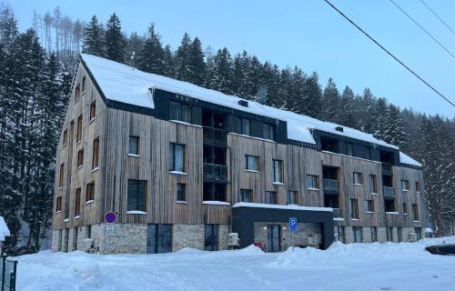 Apartmán Herlíkovice 303